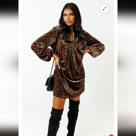 JODIFL Leopard Print Brown Dress_Small - Picture 4 of 9